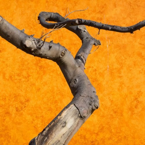 interior design finishes