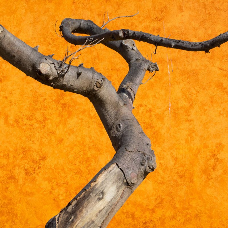 interior design finishes