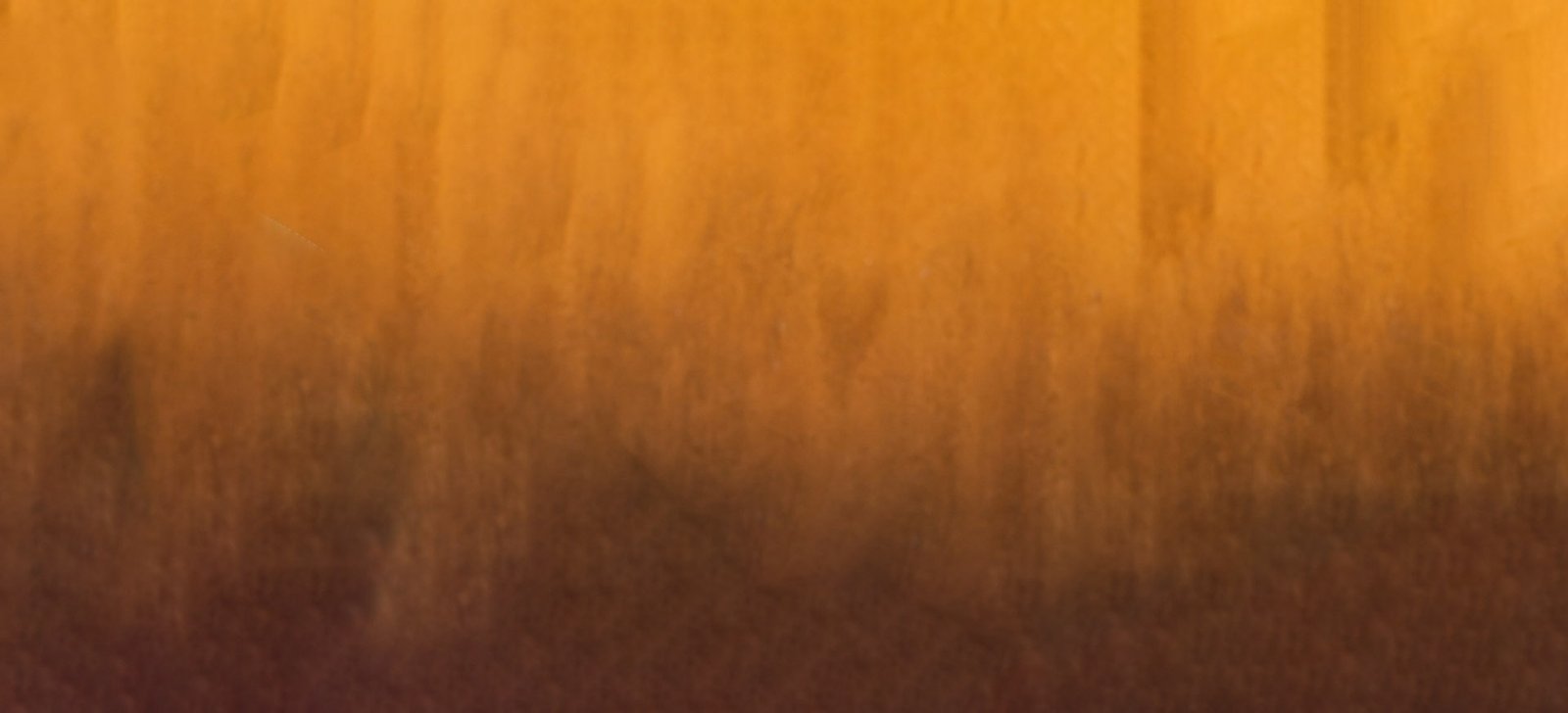 interior design finishes