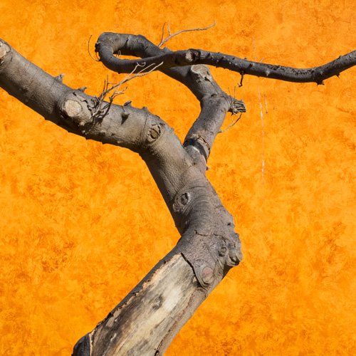 travertino venetian plaster