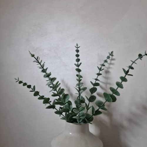 venetian plaster brisbane